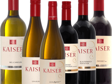 Bild 22 aus  Winzerschlössl Kaiser