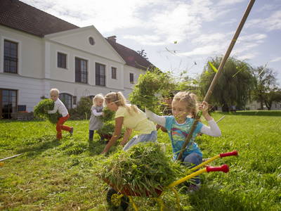 Bild 9 aus  Testhof UaB NÖ