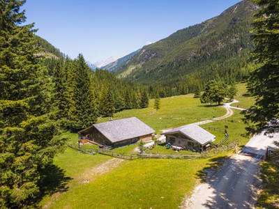 Bild 20 aus  Hintereggalm