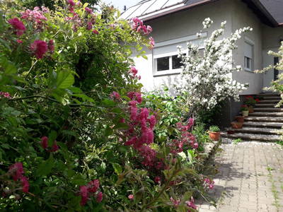 Bild 2 aus  Apartment Laaber Hohe Wand