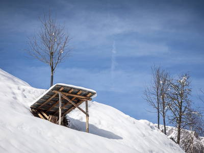 Bild 121 aus  Brennergut