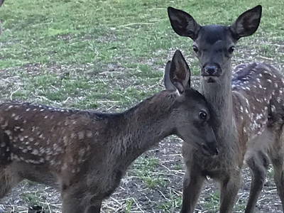 Bild 10 aus  Ferienwohnung Guttenberg