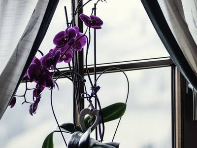 Bild 50 aus  Moarhofer - Romantikhütte mit Familienflair