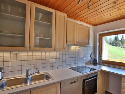 Bild 60 aus  Alpboden