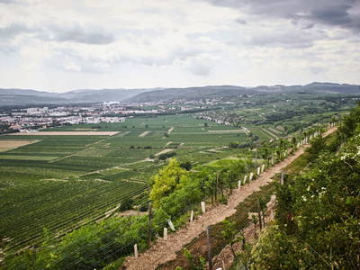 Bild 62 aus  Schmankerl und Gast Heiderer