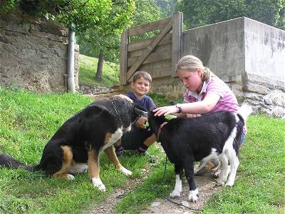Bild 66 aus Bio- und Vitalbauernhof Bacherhof