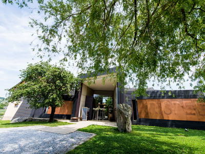 Bild 4 aus  Weingut Krispel