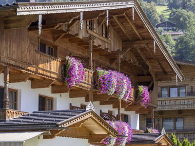 Bild 106 aus  Larchergut