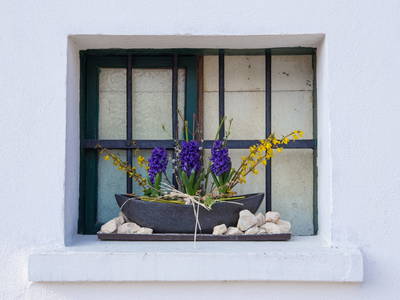 Bild 121 aus  Winzerhof Küssler, Weinviertel