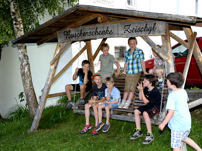 Bild 8 aus Bio-Heuhotel Zeischgl