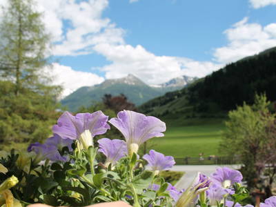 Bild 35 aus  Familienbauernhof mit Märchenkulisse - ZITTRAUERHOF