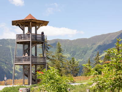 Bild 96 aus  Holzackerhof