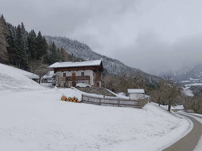 Bild 85 aus  Pfleger Ranch am Schönegg Gut