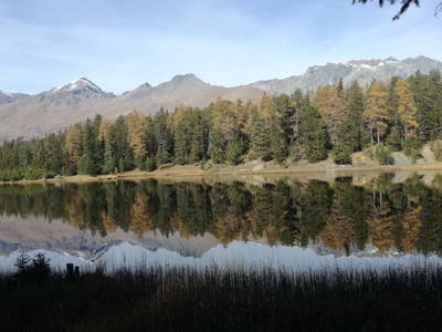 Bild 88 aus Riatschhof