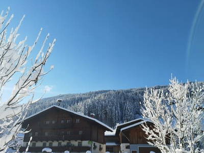 Bild 140 aus  Bio-Bauernhof Schweizerhof