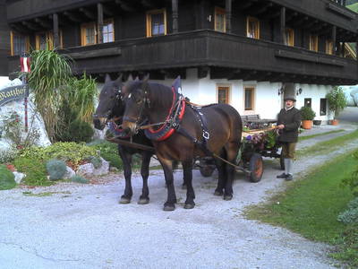 Bild 38 aus  Matzhof