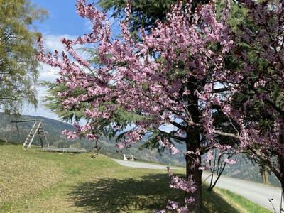 Aussenbereich