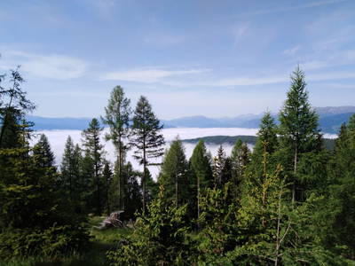 Bild 35 aus Eseihütte