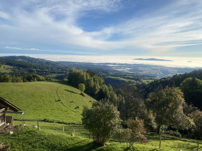 Bild 51 aus  Seewaldhof