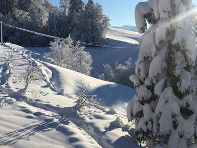 Bild 40 aus  Bauernhof Bilgeri