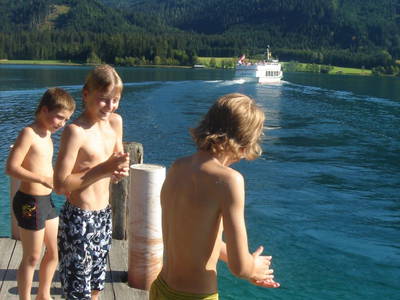 Bild 37 aus  Blumenhof Elfi