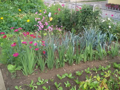 Bild 26 aus  Ferienhof Ott im Romantischen Franken bei Rothenburg o.d.T.