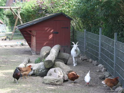 Bild 20 aus  Ferienhof Lucht