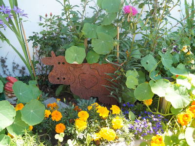 Bild 29 aus  Familienbauernhof Winkelhof