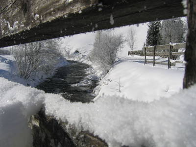 Bild 41 aus  Bio- und Kinderbauernhof Voglbach
