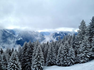 Bild 101 aus  Kassnhof