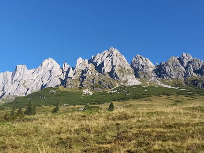 Bild 27 aus  Artlieb