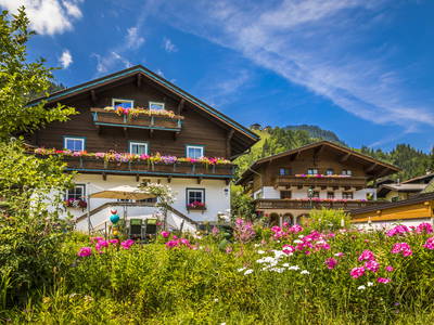 Bild 2 aus  Ployergut