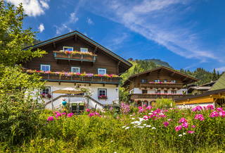 Ployergut aus Kleinarl