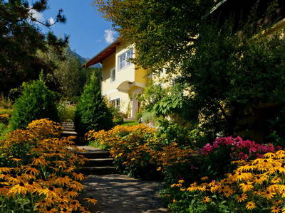 Bild 47 aus  Binter-Hof   Familie Mosser