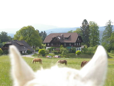 Bild 2 aus  Poscharnighof