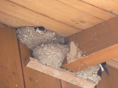 Bild 44 aus  Stückler - Hütte