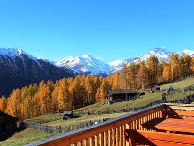 Bild 2 aus  Almerlebnisse Messner