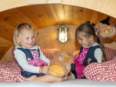 Bild 311 aus  Winzerhof Küssler, Weinviertel