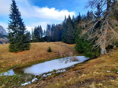 Bild 19 aus  Ferienwohnung Esserhof