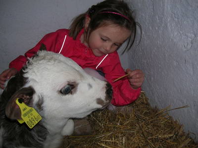 Bild 24 aus  Beim Leben