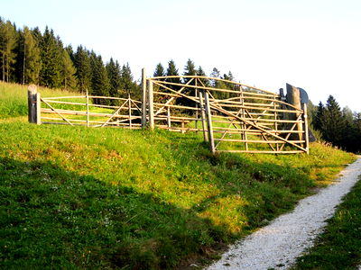 Bild 44 aus Bergbauernhof Rami