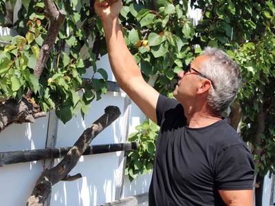 Bild 29 aus  Panorama Ferienhaus am Stopferhof