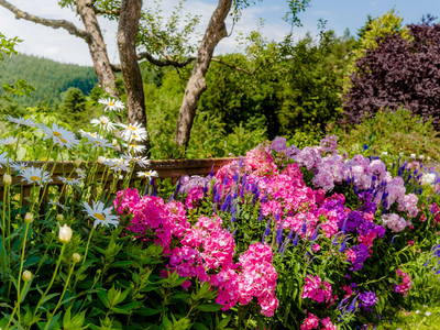 Bild 6 aus Testhof UaB Steiermark