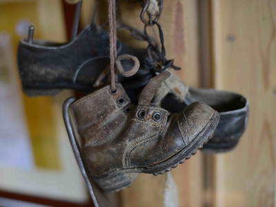 Bild 50 aus  Biobauernhof Gehrnerhof Warth am Arlberg