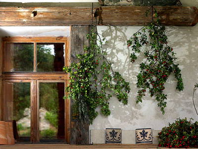 Bild 9 aus  Pokrzywnik 11