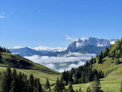 Bild 17 aus  Raineralm