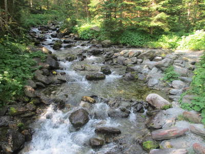 Bild 50 aus  Bio-Bergbauernhof Weger, vlg. Rübenstöffl