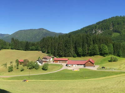 Bild 25 aus  Ferienhaus HochkarBlick