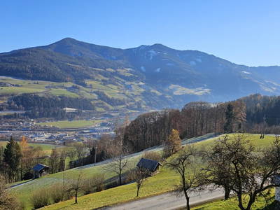 Bild 27 aus  Pfleger Ranch am Schönegg Gut