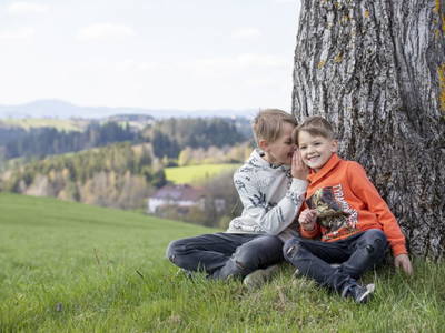 Bild 13 aus  Grainmeister